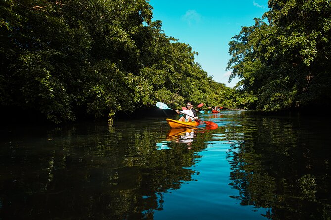 Afternoon Guided Kayak Tour on the Tamarin River - Tour Duration and Weight Limit