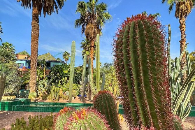 Agadir Croco Parc Admission Teckits and Roundtransfer