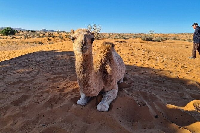 Agadir Jeep Safari 4x4 Desert Adventures - Pickup Information