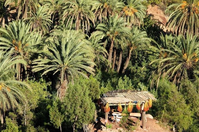 Agadir Paradise Valley Adventure Guided Tour & Quad Bike - Tour Overview