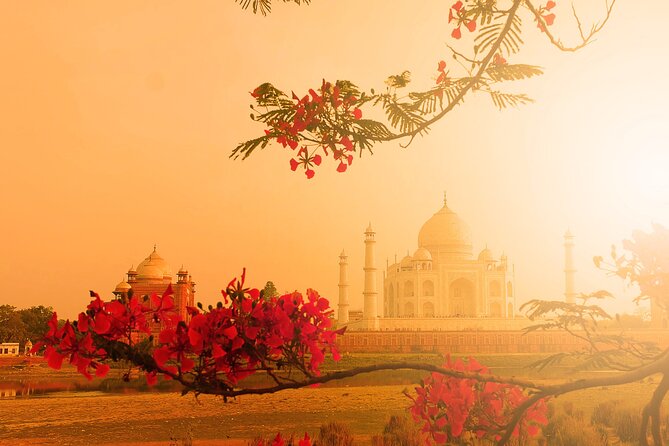Agra: Skip the Line Ticket to Taj Mahal With Guided Tour