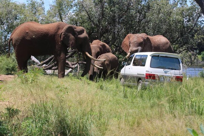 Airport-Lodge Transfers ( Livingstone Zambia) - Cancellation Policy