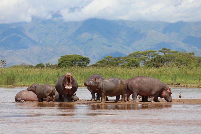Akagera Game-drive Safari - Whats Included