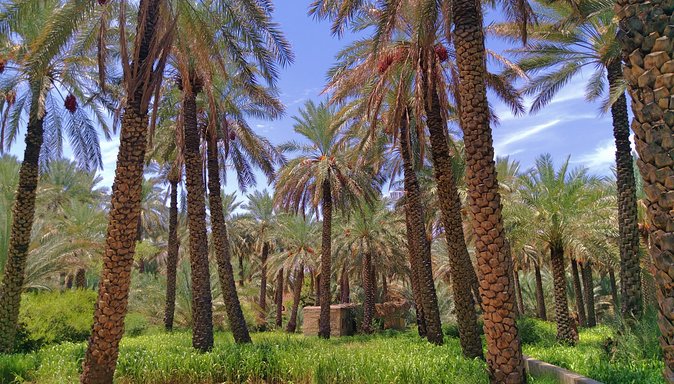 Al Hamra -Jabel Shams Full Day Tour - Tour Inclusions