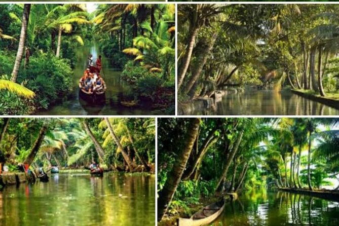 Alasr Lakeview Cruise /Hourly Trips to Backwater of Alleppey