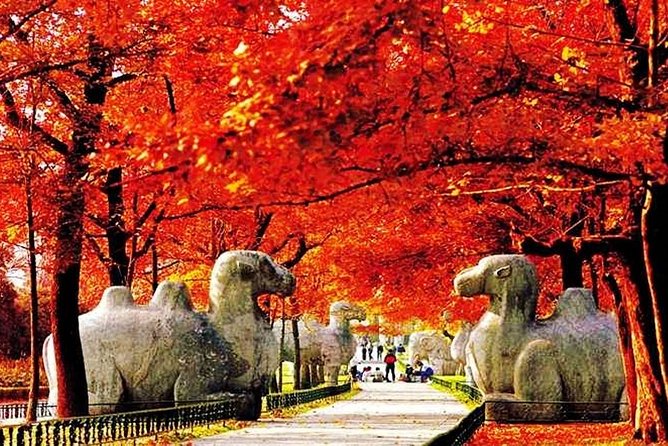 All Inclusive Nanjing City Private Day Tour With Tailor-Made Highlights