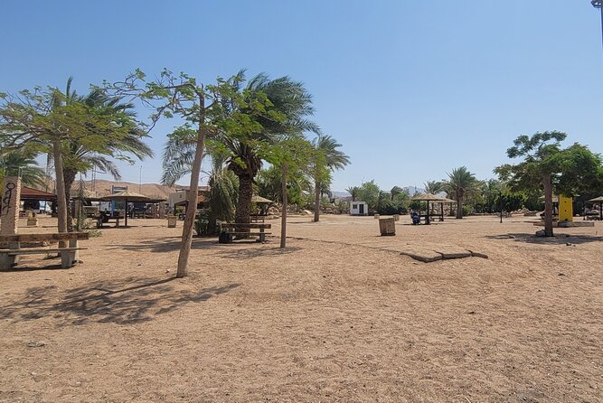 Amazing 2 Days Private Trip Petra Wadi Rum & Dead Sea From Amman - Accessibility and Group Size