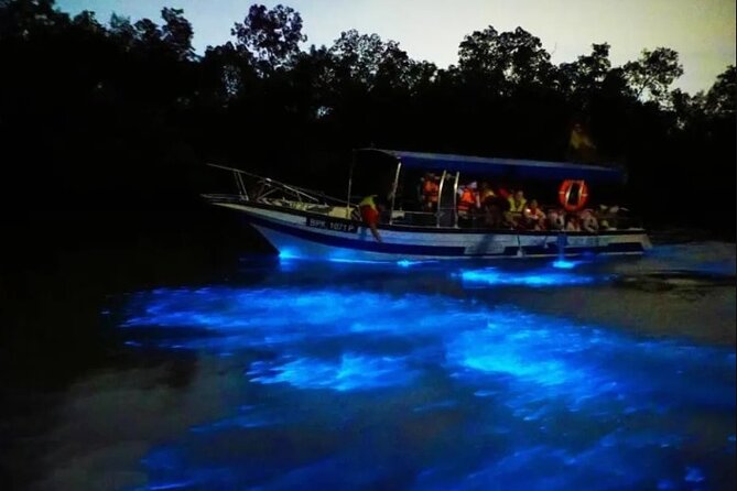 Amazing Fireflies With Blue Tears Watching & Kuala Selangor Tour - Tour Highlights