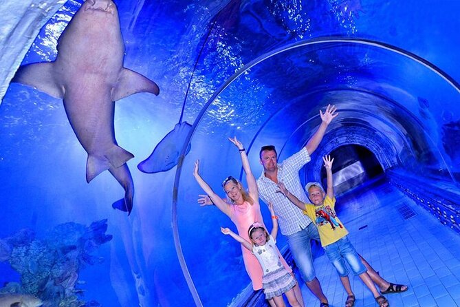 Amazing Tour To Grand Aquarium Hurghada With Transfer In Hughada - Features and Inclusions