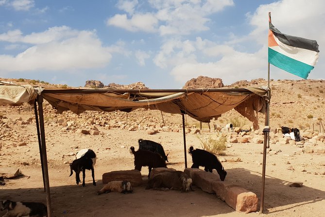 Amman and Aqaba Airport Lift to Petra and Wadi Rum - Pricing and Inclusions