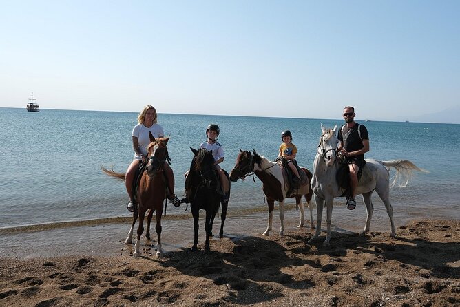 Antalya Horse Riding Forest and Beach - Restrictions and Recommendations