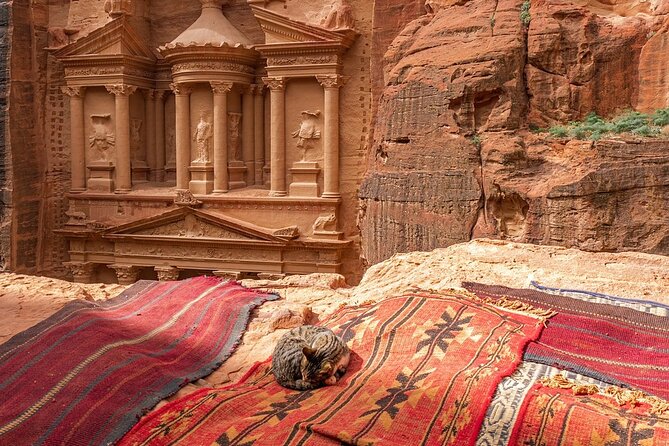 Aqaba Taxi for (Full Day Petra , Wadi Rum and All Transportation) - Vehicle Amenities