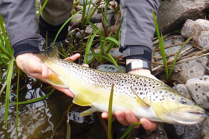 Arctic River Fishing Tour - Tour Details