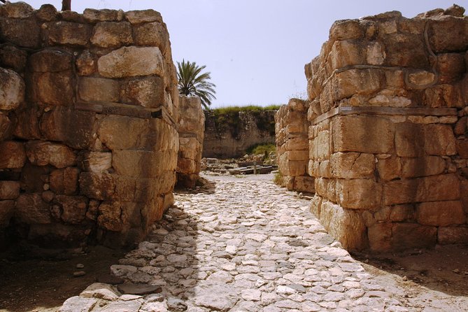 Armageddon Valley Private Tour From Tel Aviv - Tour Highlights