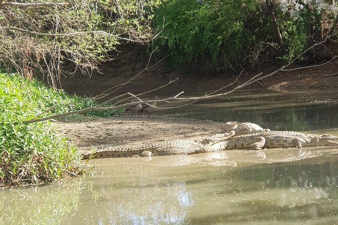 Around Gaborone Adventure - Pricing and Highlights
