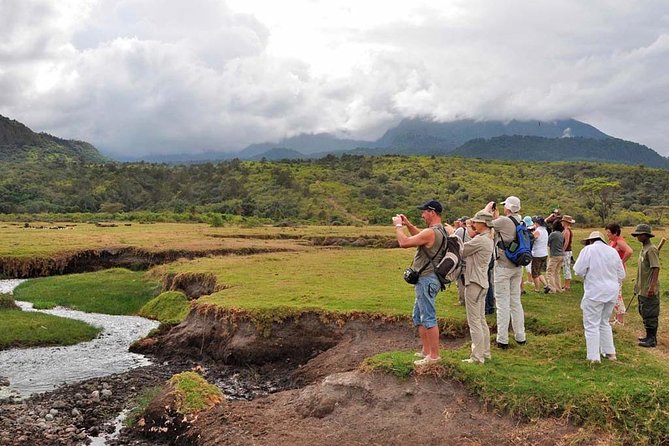 Arusha National Park Game Drive and Walking Safari Day Tour - Wildlife Encounters