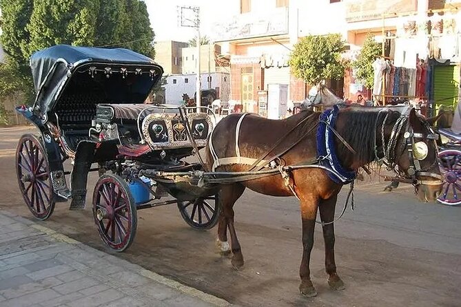 Aswan City Tour by Horse Carriage - Exclusions
