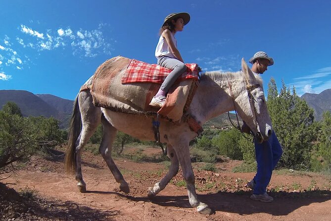 Atlas Mountains Day Trip & Desert Agafay From Marrakesh - Meeting and Pickup Details