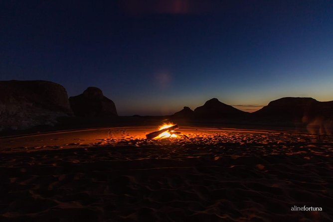 ATV Safari Quads, Camels & BBQ Dinner Sharm El Sheikh