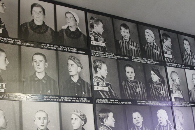 Auschwitz-Birkenau and Krakow Private Car Trip From Katowice - Trip Details