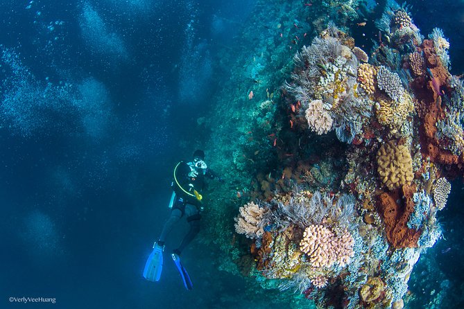 Bali Diving Day Trip-Manta Point/Tulamben Shipwreck-Fun Dive - Inclusions and Equipment