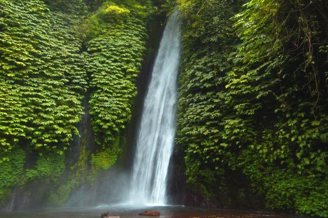 Bali Waterfalls Tour – One Day Private Tour