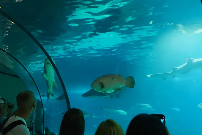 Barcelona Aquarium Flexible Skip the Line Access Entry Ticket