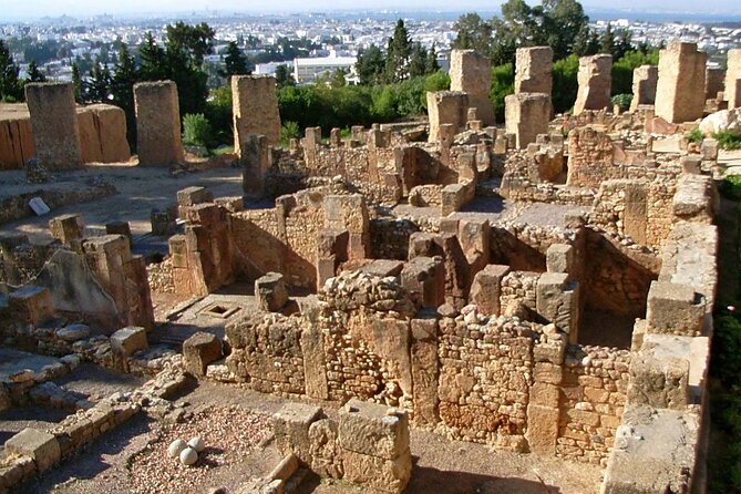 Bardo Museum With Medina, Carthage and Sidi Bou Private Tour - Itinerary Details