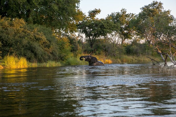 Batoka Sunset Cruise - Amenities and Services Provided