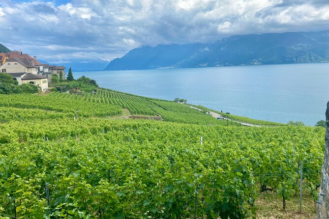 Bern Private Tour - Gruyères , Cheese, and Lavauxs UNESCO Wine - Itinerary Overview