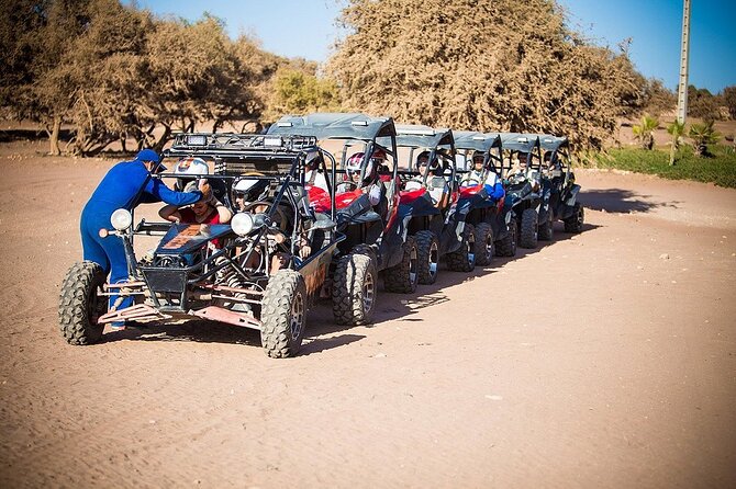 Best Buggies in Agadir Forest and Beach Dunes