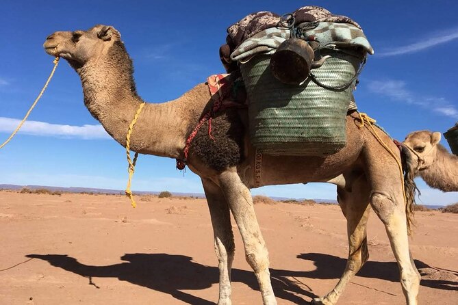 Best Experience the 3 Biggest Sand Dunes: 4 Days - Experience Details