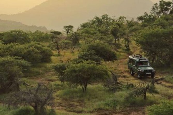 Best of Kenya Safari - Safari Highlights