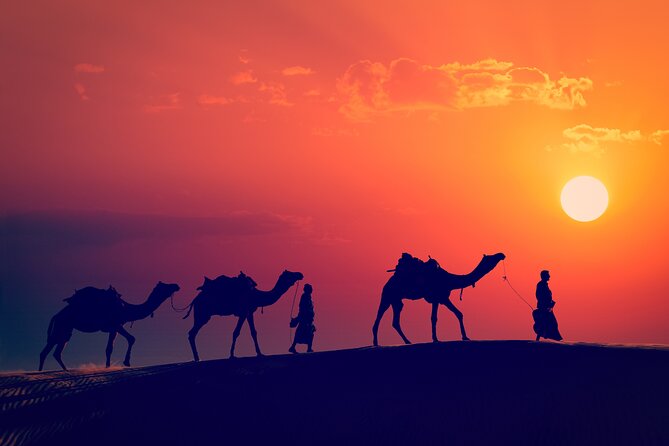 Best of Wadi Rum | Full Day Jeep Tour + Overnight in Bedouin Camp | Pack All-In - Tour Inclusions