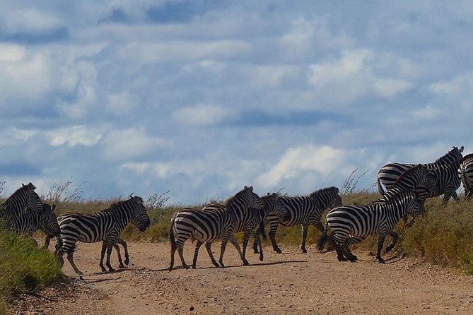 Best Tanzania Safari Tarangire Day Tour With Kilinge Adventure - Inclusions
