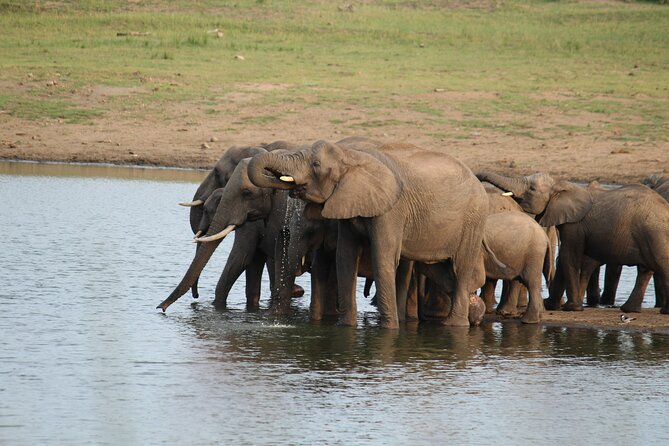 BIG 5 Kruger 4 Day Safari From Johannesburg