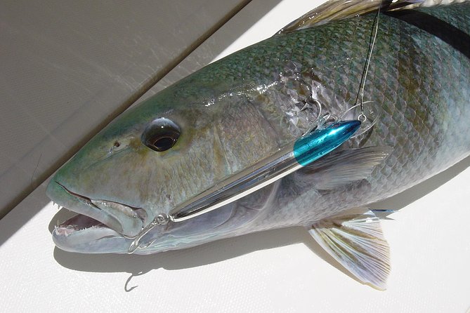 Big Game Fishing a Fishing Charter in Seychelles - Fishing Targets