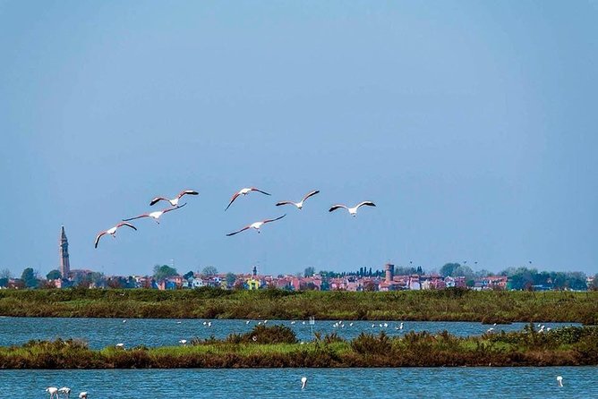 Bike, Boat and Taste Between Sile Park and Venice Lagoon - Frequently Asked Questions