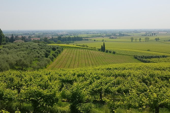 Bike Tour of Castles and Hills of UNESCO Conegliano - Tour Highlights