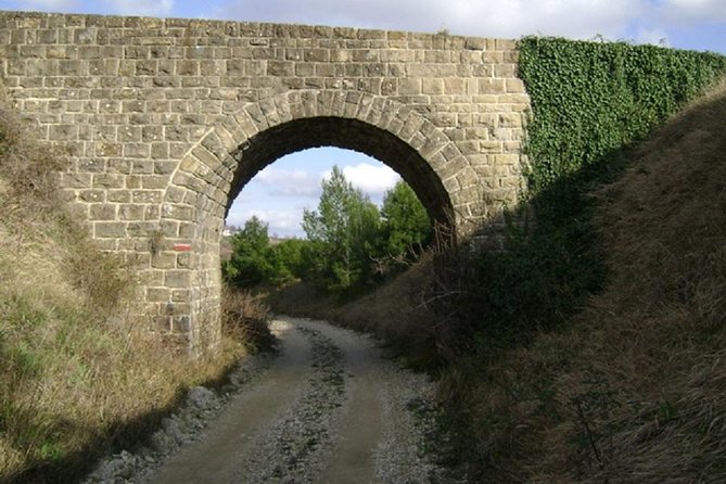 Biking Trip - Shore Excursion From Koper - Highlights and Inclusions