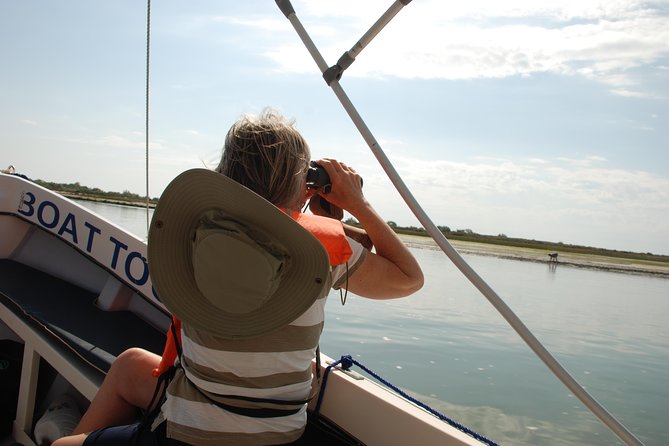 Birding in Tavira and Ria Formosa: Your Nemesis Bird Destination - Self-Guided - Best Time of Year for Birding