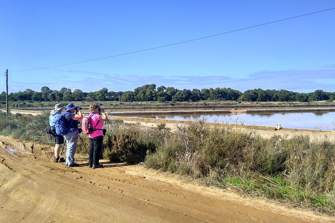 Birding Under Blue Skyes: the Great Bustard Adventure-Self-Guided Birding W/ Car - Accommodation Details