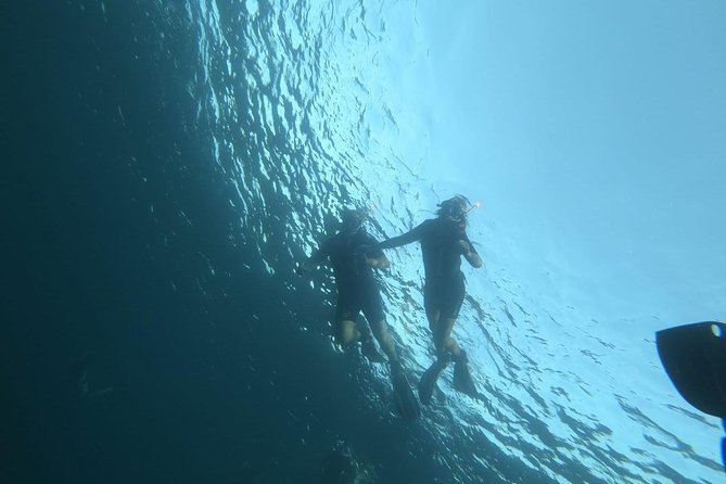 Blue Lagoon & Caves Comino Snorkeling Tour, Boat & Guide - Gear and Equipment Provided