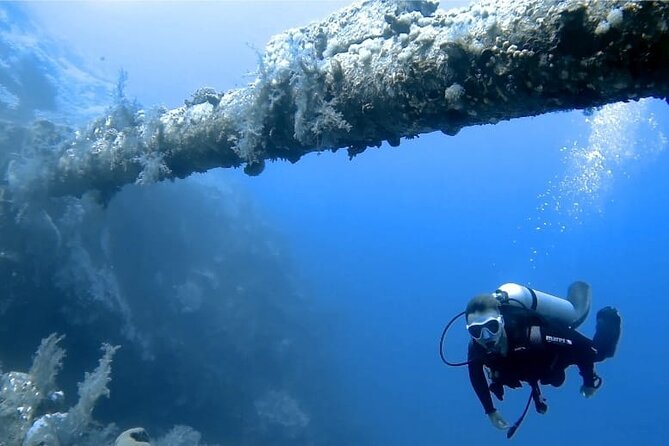 Boat Dive 2 Guided Dives With Lunch Included Wreck Dive&Reef Dive - Location Information