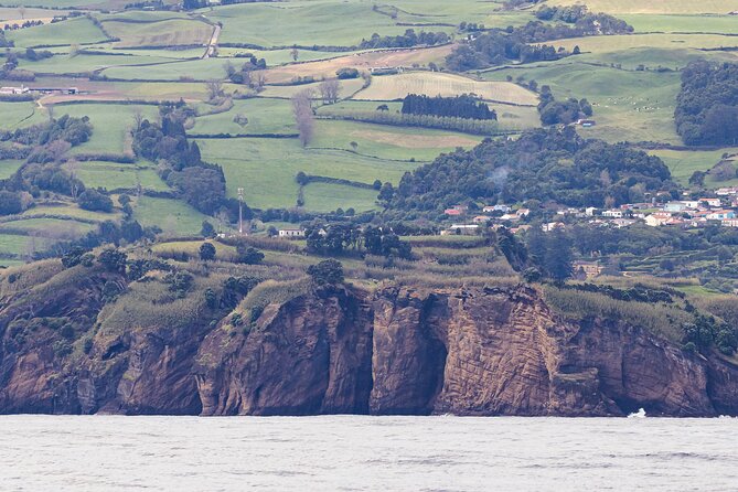 Boat Trip Along the North Coast in Capelas - Safety and Inclusions