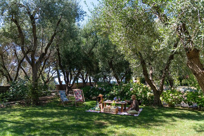 Botanical Picnic in a Historical Garden in the Heart of Sorrento - Optional Swimming Pool