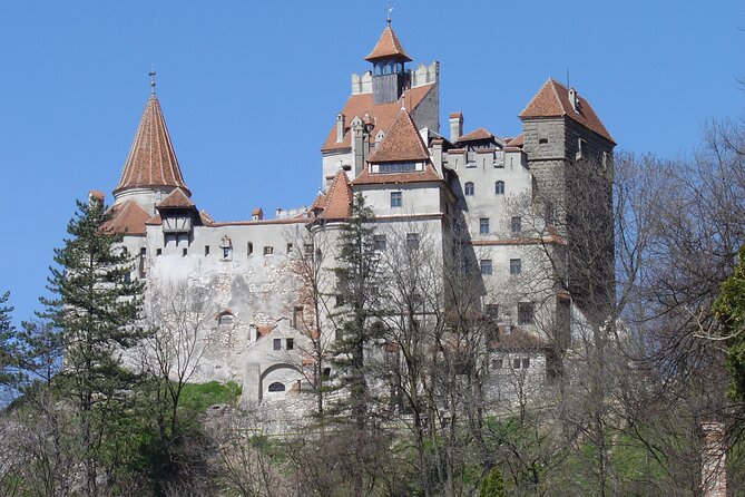 Bran “Dracula’s” Castle + Peles Castle + Brandy at Rasnov Distillery