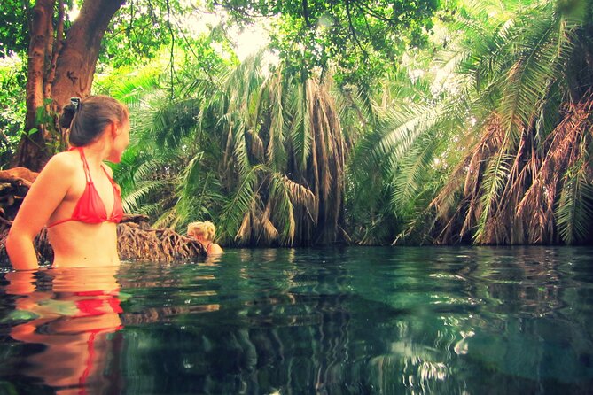 Budget Kikuletwa ( Chemka ) Hot Spring and Coffee Tour - Reviews