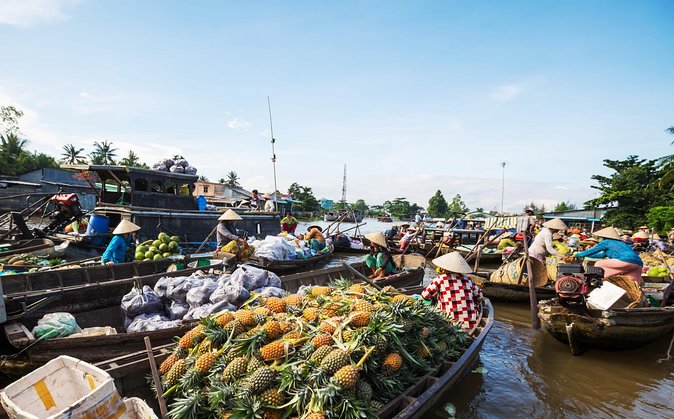 Cai Rang Floating Market & Mekong Delta Private Tour From HCM City - Tour Details