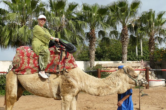 Camel Agadir - Meeting Point Information